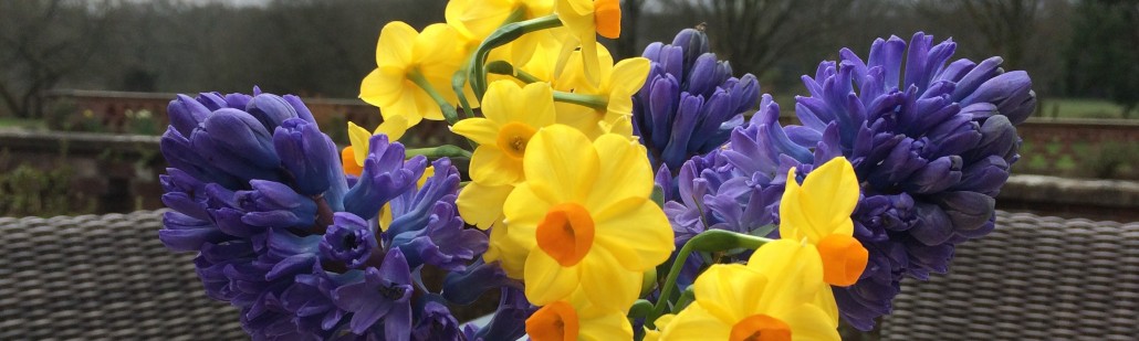 Flower Stables
