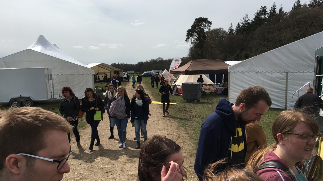 New Forest Festival