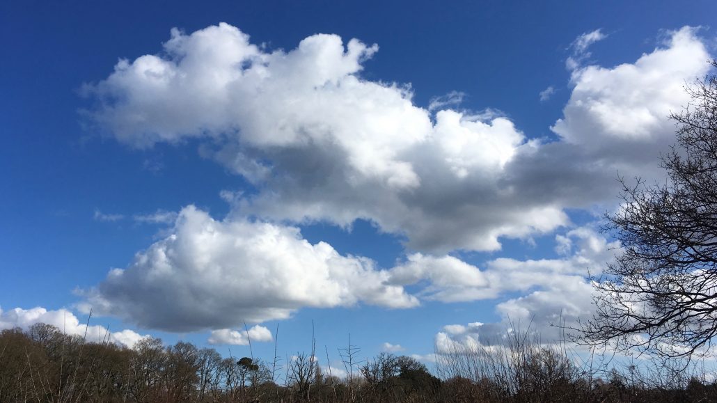 Paul's Wednesday 7th March Walk All Over Cancer Post